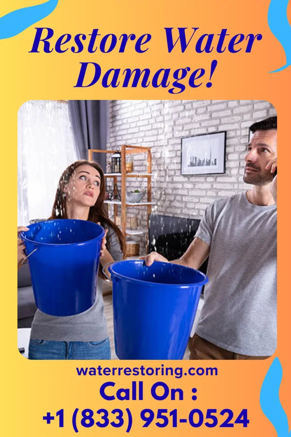 water restoration Lightning Water Damage Inc Dawson