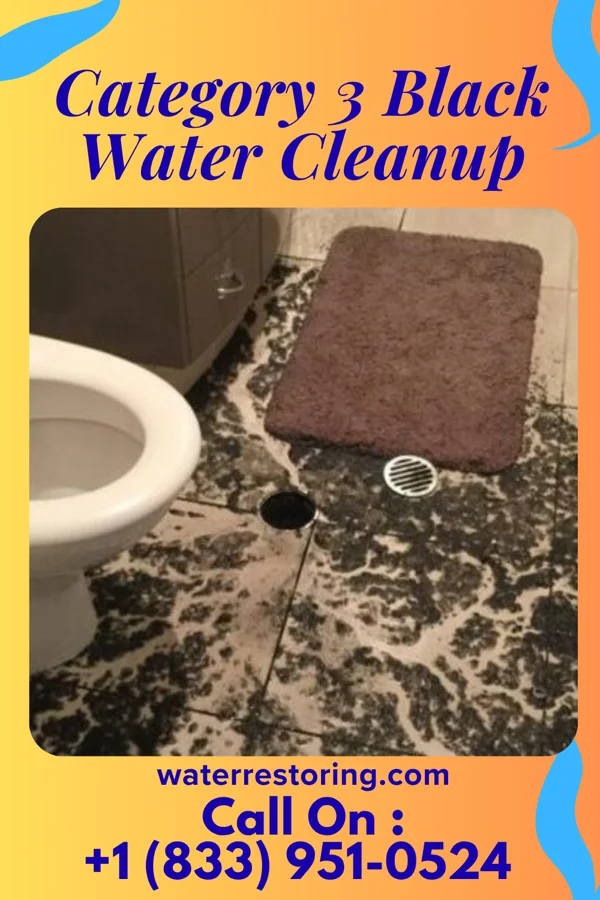 Category 3 Black Water Cleanup in Dawson, PA