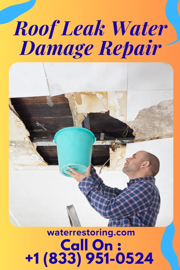 Roof Leak Water Damage Repair in Dawson, PA